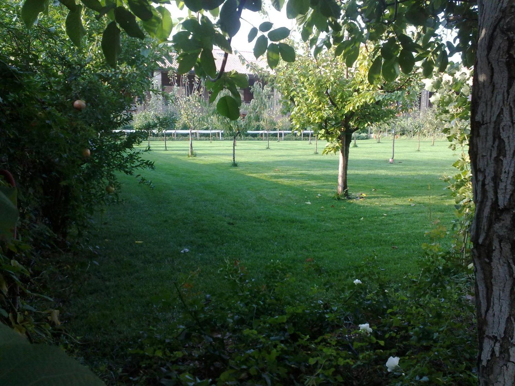 Relais Corte Guastalla Apartments Sona Exterior foto